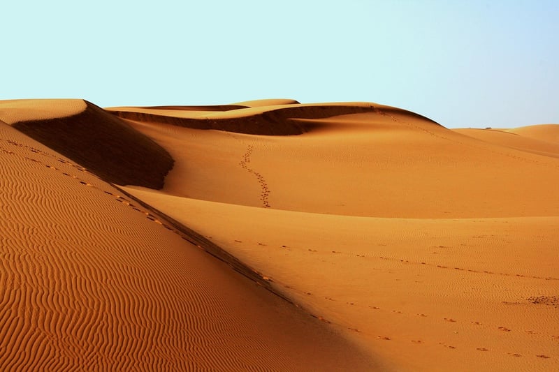 Desert Expeditions